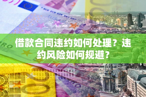 武汉借款合同违约如何处理？违约风险如何规避？