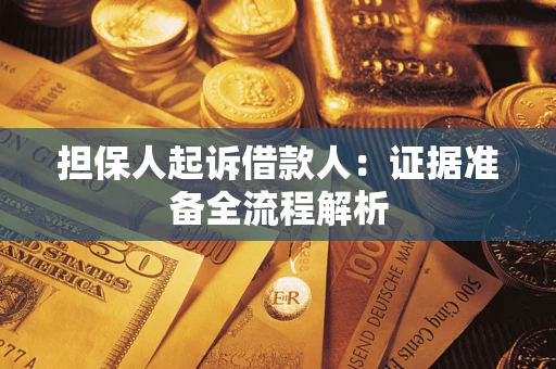 武汉担保人起诉借款人：证据准备全流程解析