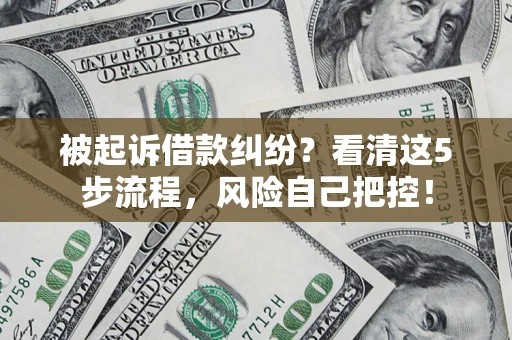 武汉被起诉借款纠纷？看清这5步流程，风险自己把控！