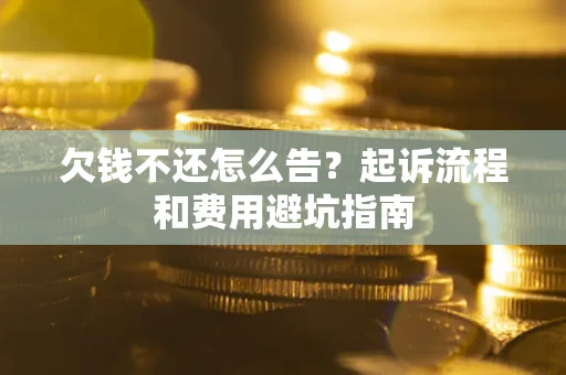 武汉欠钱不还怎么告?起诉流程和费用避坑指南 武汉欠钱不还怎么告?起诉流程和费用避坑指南