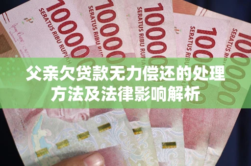 武汉父亲欠贷款无力偿还的处理方法及法律影响解析